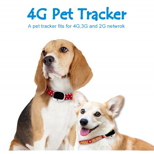 איתוראן לבעלי חיים, כלב, חתול , מבוסס GPS וסלולאר 4G